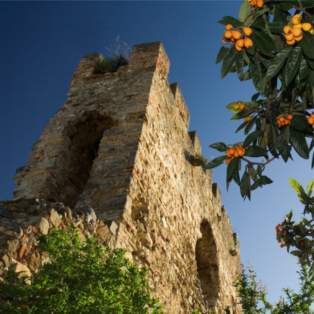 alcazaba marbella