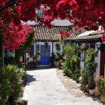 autocar patios de cordoba