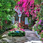 decoracion patios de cordoba