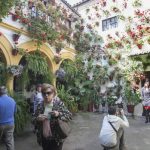 excursion patios de cordoba