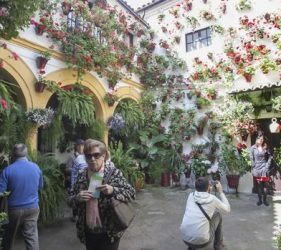 excursion patios de cordoba