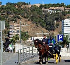 fiestas tipicas en noviembre