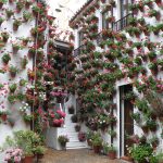 Patios de Cordoba 2019