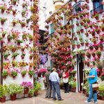 patios de cordoba