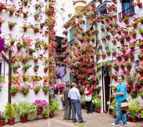 patios de cordoba