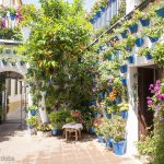 patios de cordoba arte cordoba