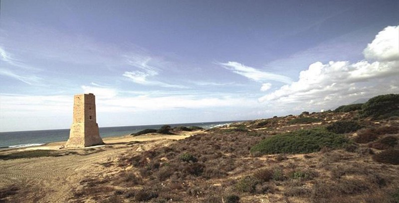 playa de artola cabopino