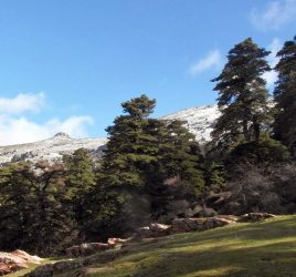 sierra de las nieves