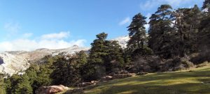 sierra de las nieves