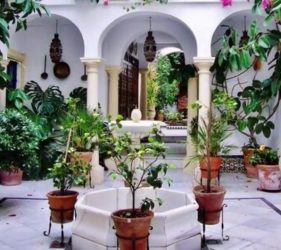 visita guiada patios de cordoba