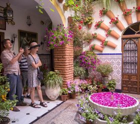 visitar desde malaga patios de cordoba