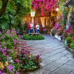 visitar patios de cordoba