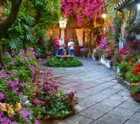 visitar patios de cordoba